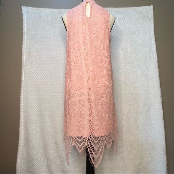 Pink Lace Tunic Dress Size Large NWOT - Picture 3 of 11